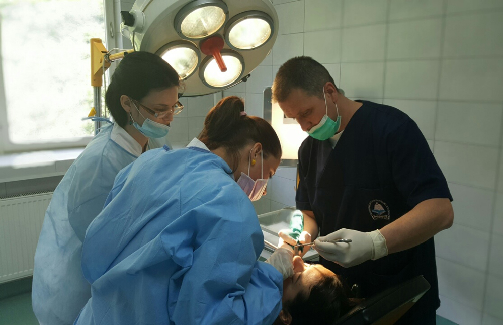 Endodoncija